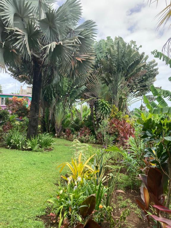 Giardino di Jacoway Inn