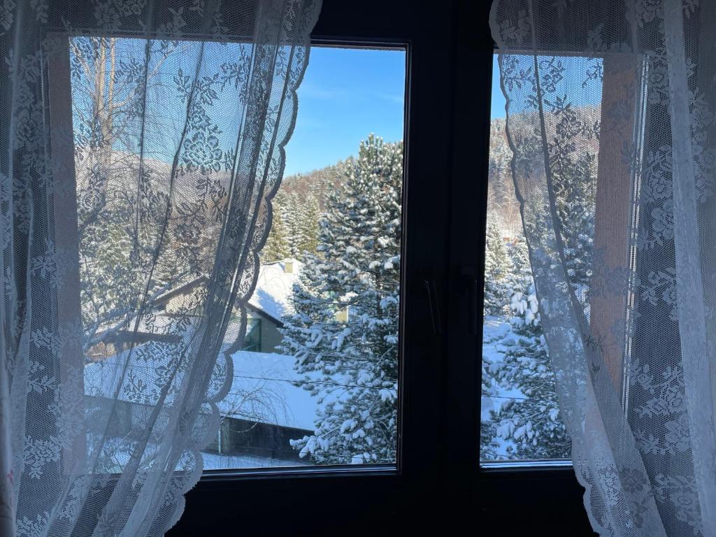 Sasanka przy Gondoli - 19