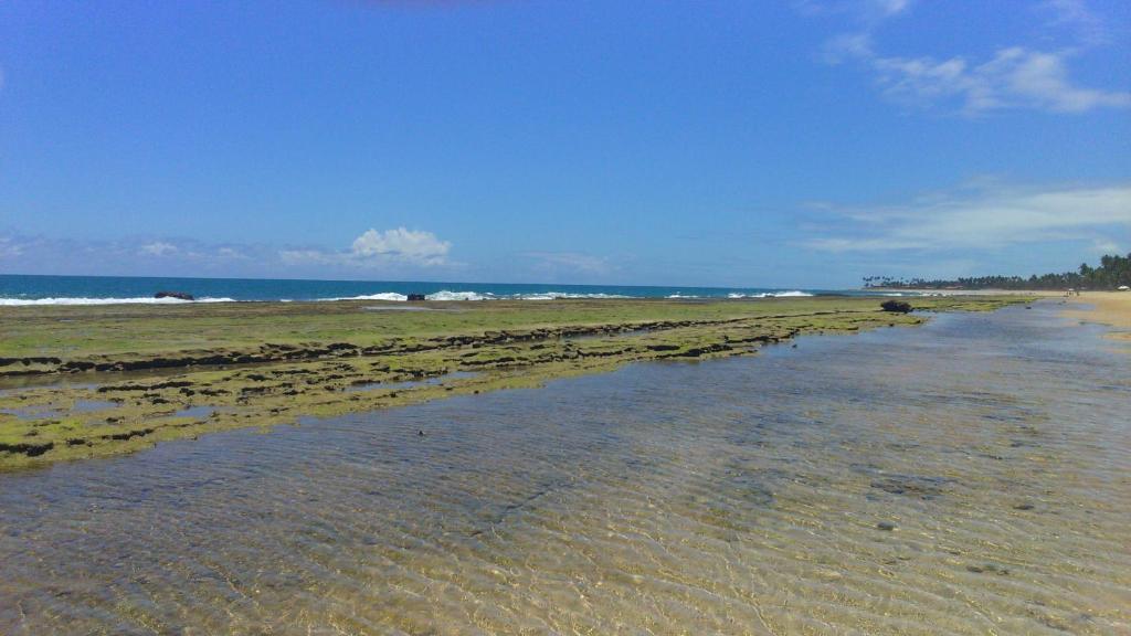  Flat Beach Class Resort Muro Alto