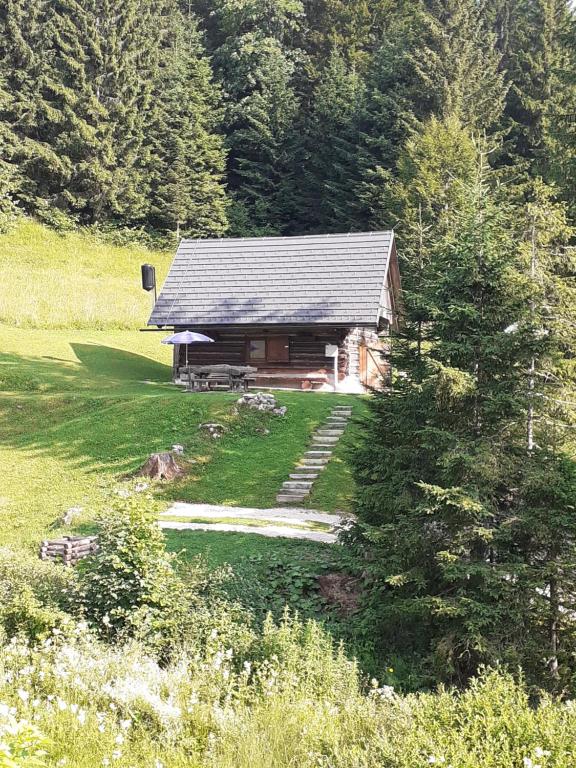 Příroda nedaleko apartmánu