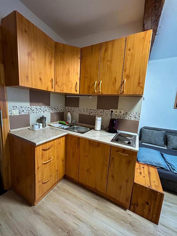 Kuchyň nebo kuchyňský kout v ubytování Groppenstein Apartmanház