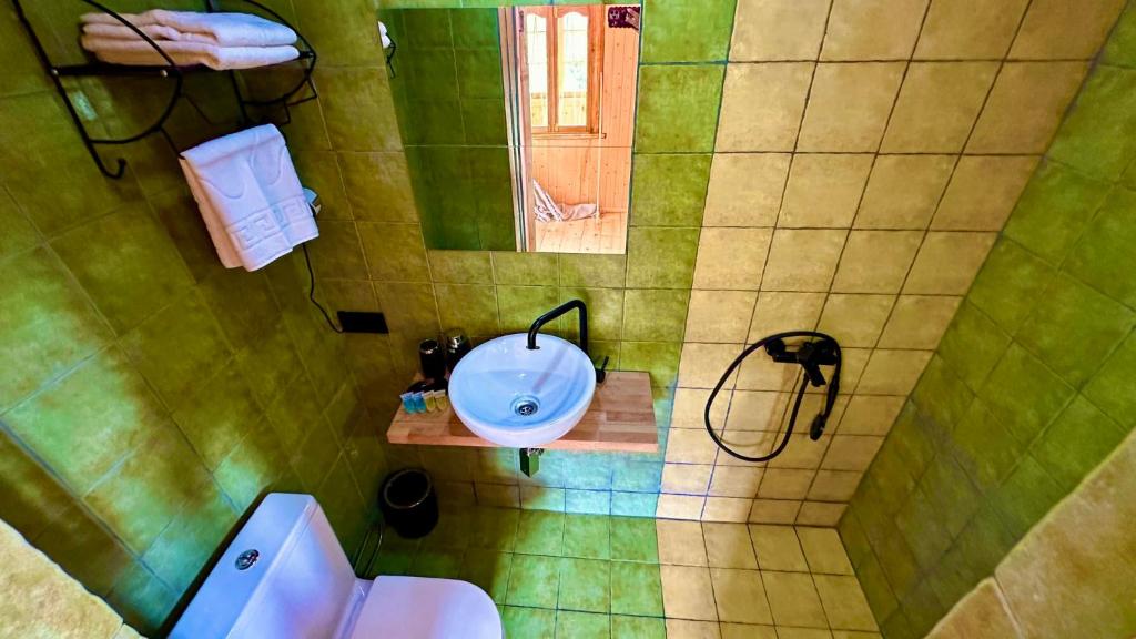 een badkamer met een wastafel en een toilet bij Emy's Villa in Batoemi