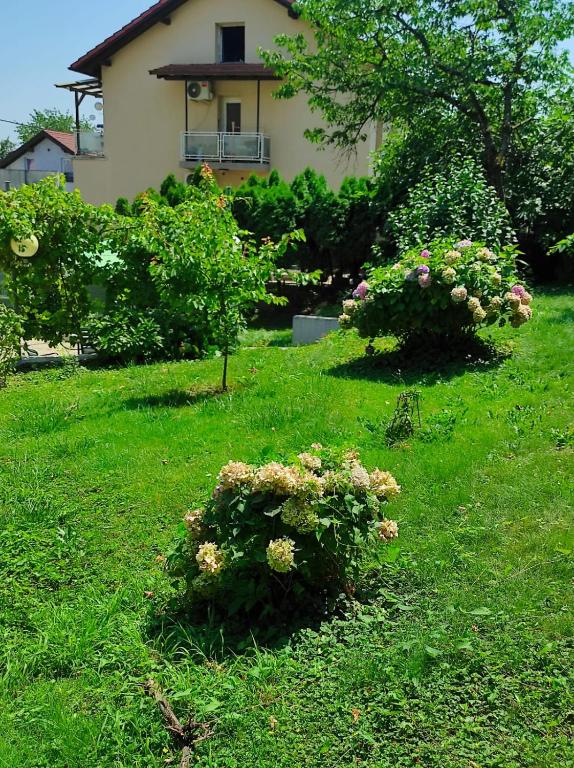 Apartman ZAGREB,REBRO,MAKSIMIR,CENTAR Marko - 13