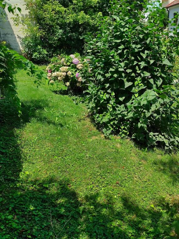 Apartman ZAGREB,REBRO,MAKSIMIR,CENTAR Marko - 12