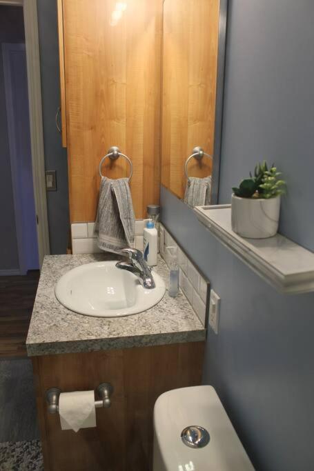 A bathroom at Cozy Lodge Suite