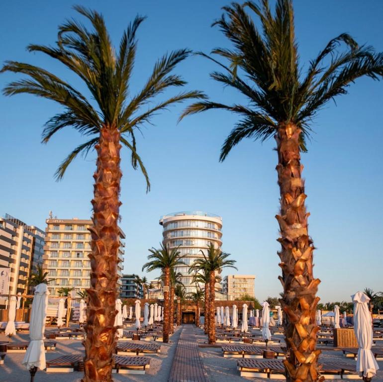 a row of palm trees on a beach with chairs and buildings at Moft studio by White Tower in Mamaia