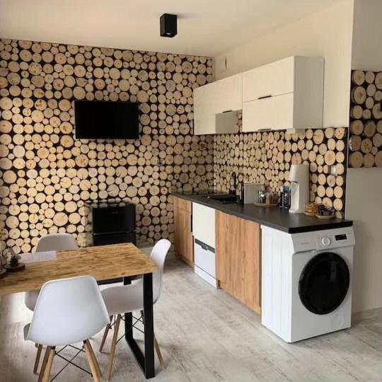 Kuchyň nebo kuchyňský kout v ubytování Apartmán U Jelena, Čeladná