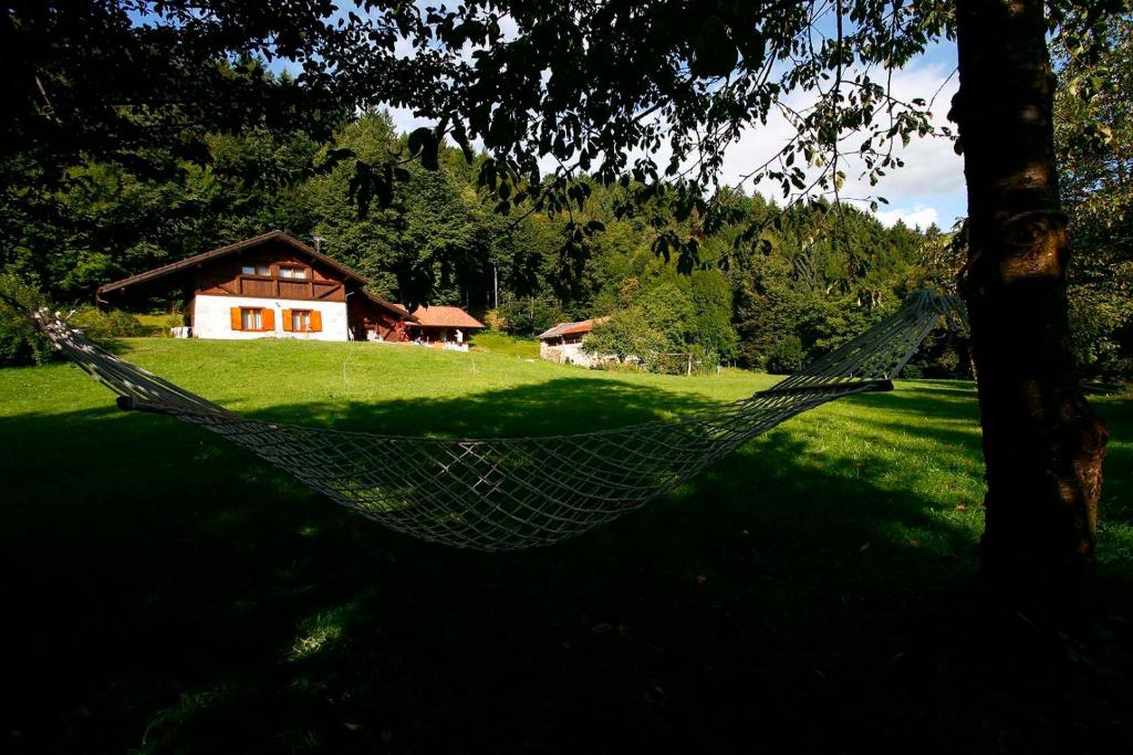 Příroda nedaleko bed and breakfast