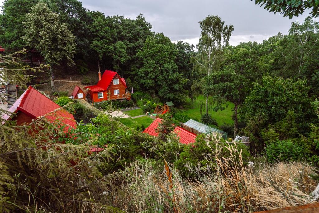 Příroda nedaleko apartmánu