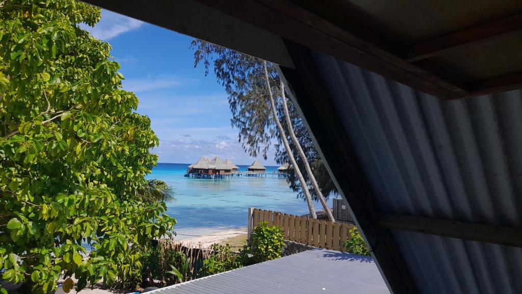 HINAMOE LODGE, Avatoru - photo 6 - Rangiroa, Polynésie