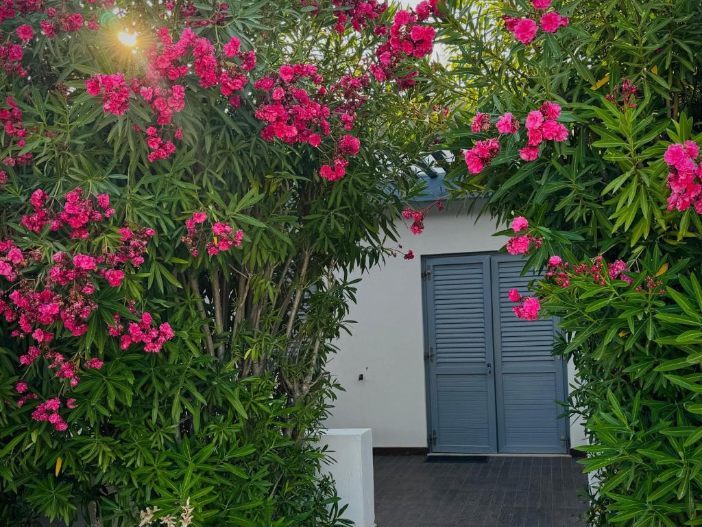 Zahrada ubytování Baia Sangiorgio Hotel & Beach Club