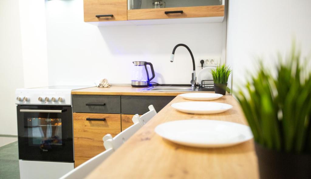 Kuchyň nebo kuchyňský kout v ubytování AISHA Hostel