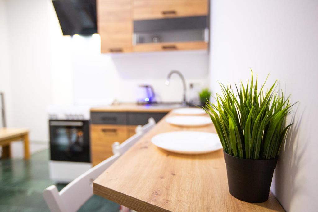 Kuchyň nebo kuchyňský kout v ubytování AISHA Hostel