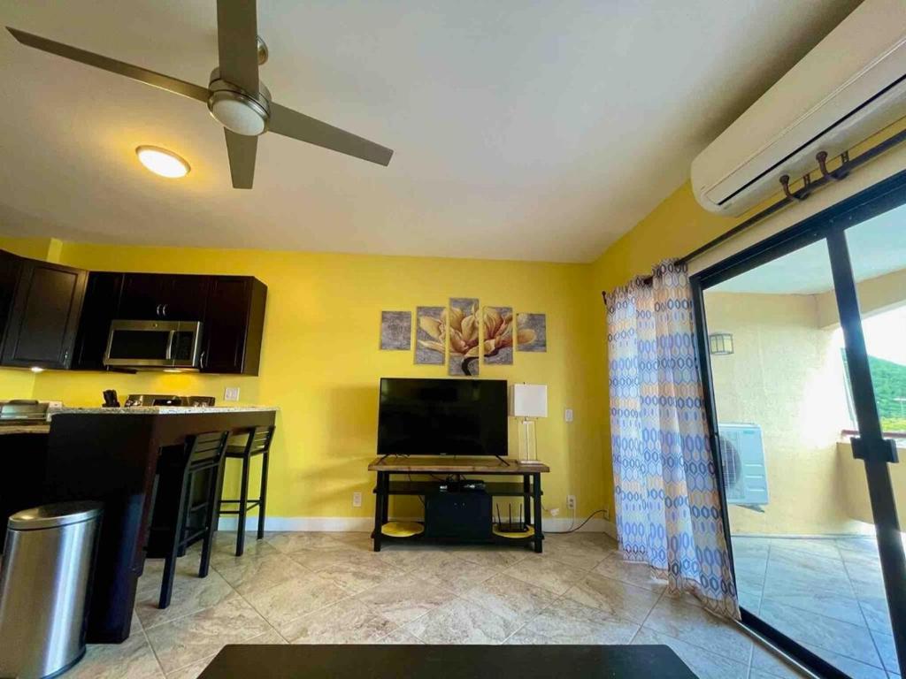 TV a/nebo společenská místnost v ubytování Couples Getaway 1bed 1bath Condo In Red Hook