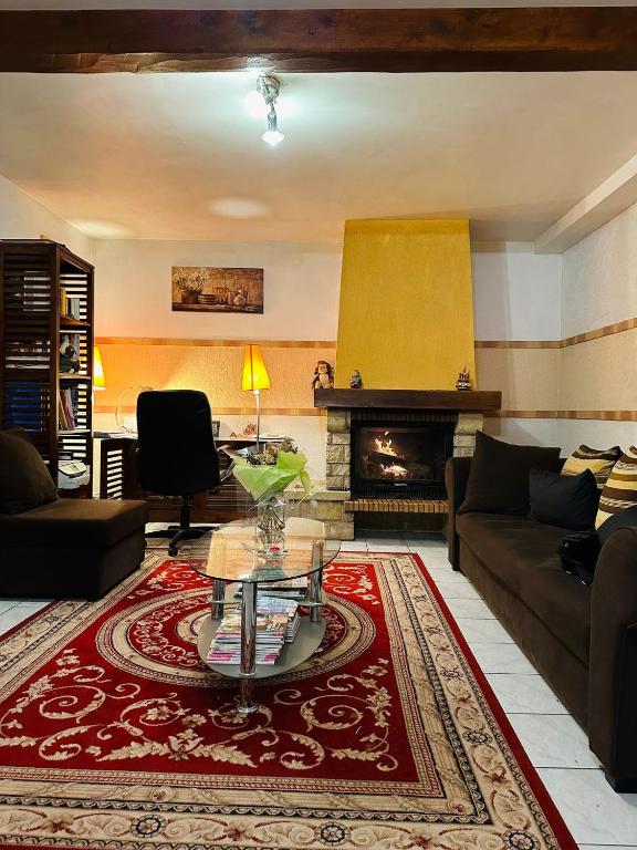 a living room with a couch and a fireplace at Belle maison confortable in Montfermeil