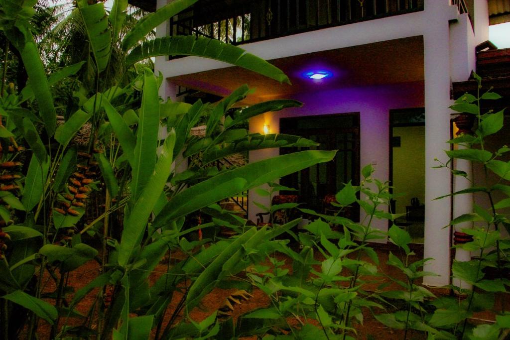 Zahrada ubytování Gimhana Homestay