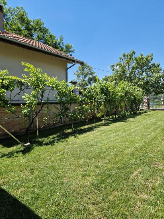 Zahrada ubytování Apartmani Tina - Srebrno jezero