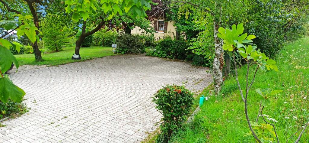 Zahrada ubytování Paradise Garden & View
