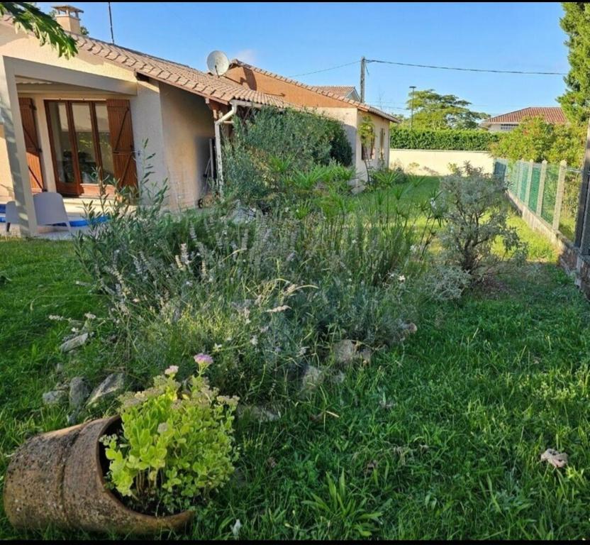 un jardin devant une maison dans l'établissement Maison familiale Cazaux, à La Teste-de-Buch