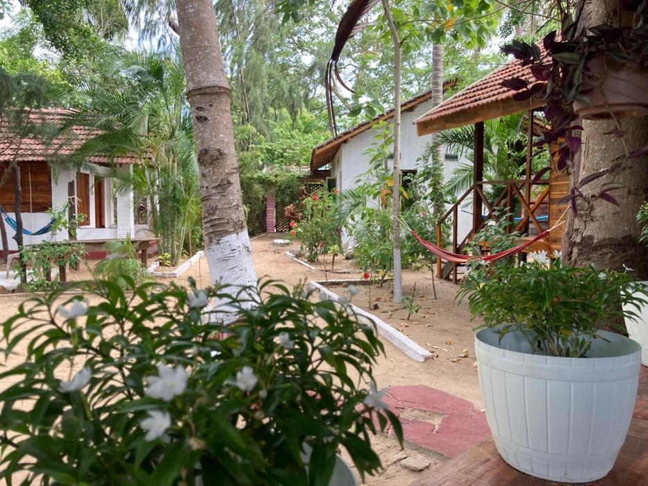 a house with trees and plants in a yard at River Point in Pottuvil