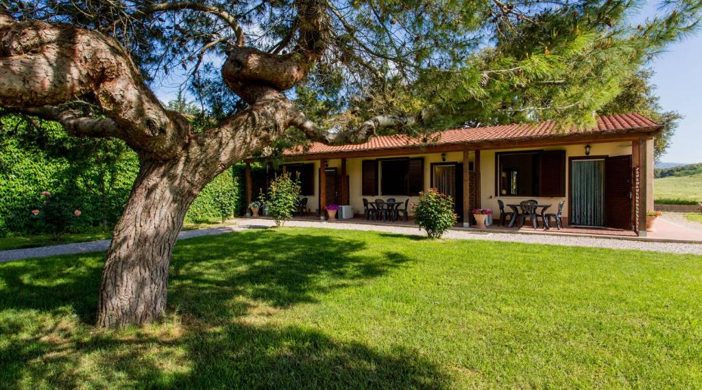 a house with a tree in front of a yard at Agriturismo Il Sughereto - Appartamento Cattleya in Podere Caminino