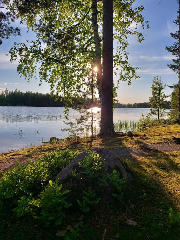 Suitetrails - Koivurannan Lomamökit Paju