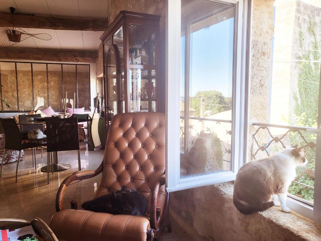 La rose du vent - 10