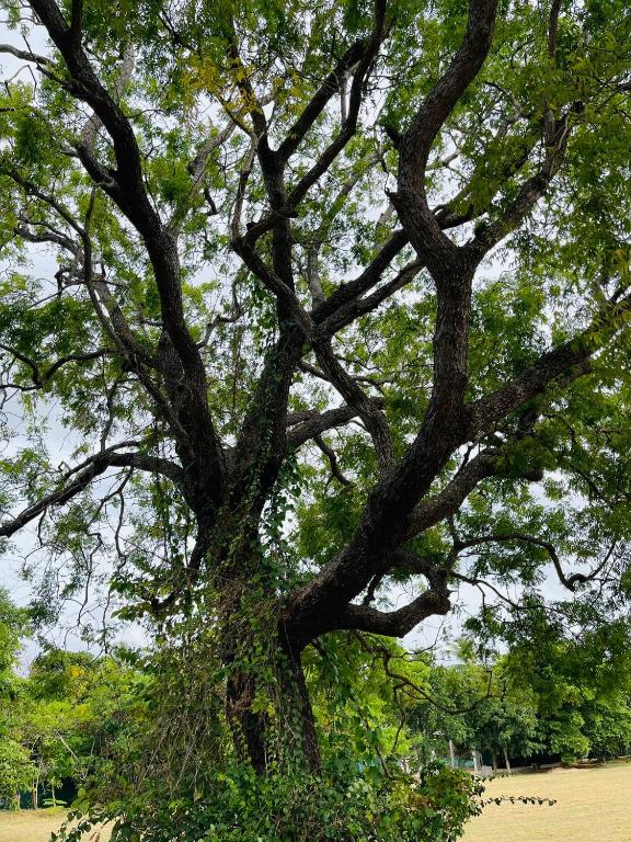 Little Paradise Tourist Guest House and Holiday Home - 11