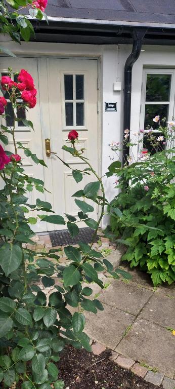 Zahrada ubytování Bjerred B&B