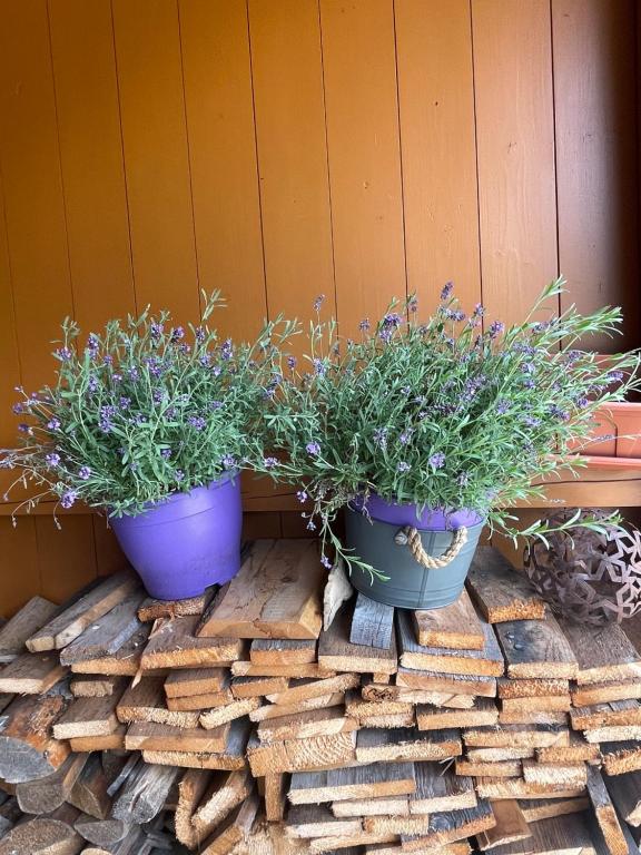 Fotografie z fotogalerie ubytování Chalet Yulia v destinaci Zell am See