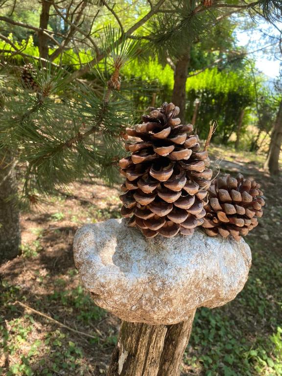 Fotografie z fotogalerie ubytování Casale Trifoglio v destinaci Morano Calabro