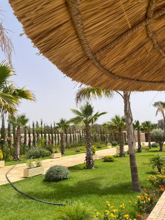 Zahrada ubytování Riad Tammam
