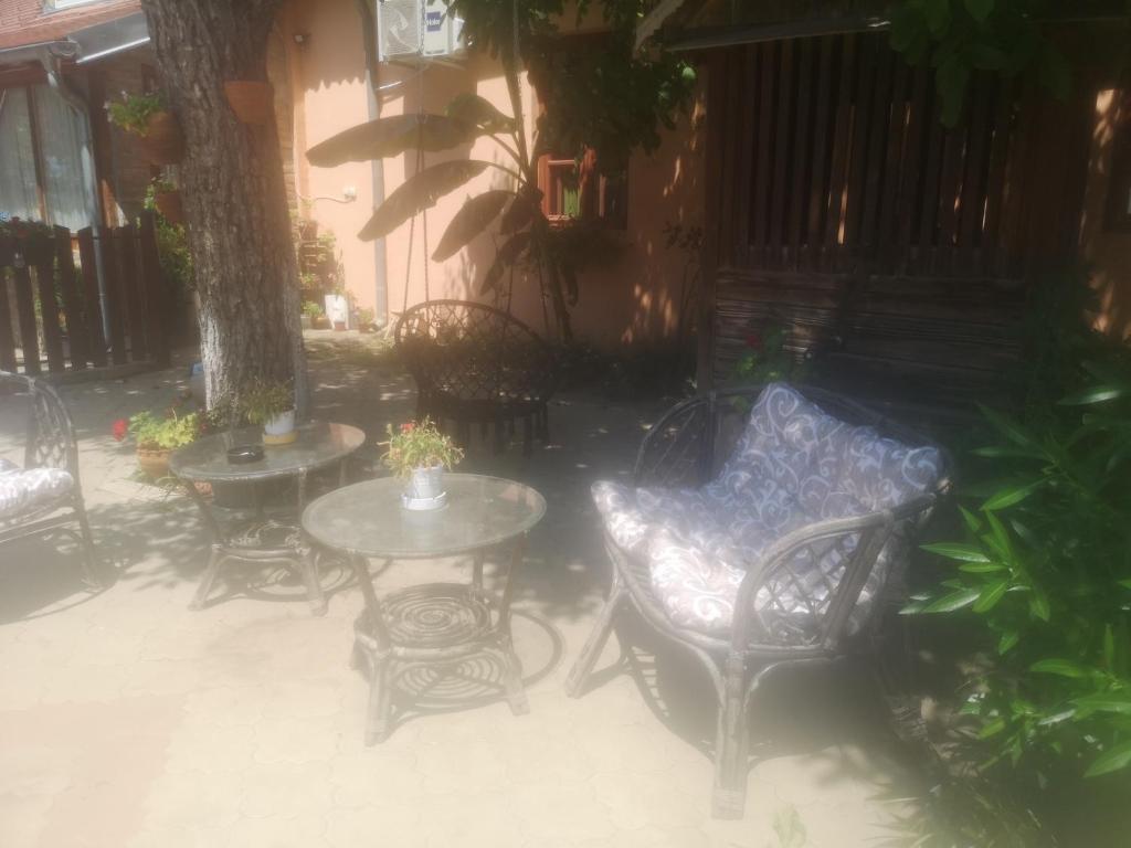 a patio with tables and chairs and a tree at CycloCamp & Hostel in Skorenovac