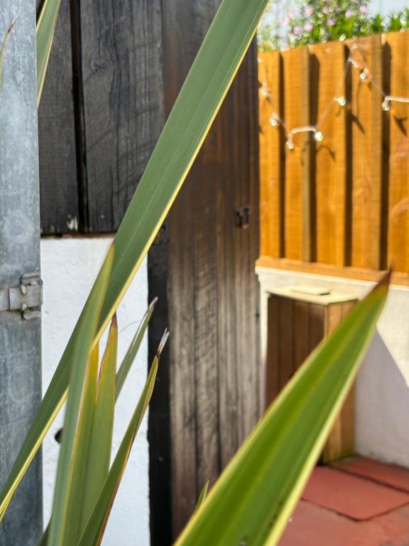 une clôture en bois derrière une plante verte dans l'établissement Welcome sur le Bassin, à La Teste-de-Buch