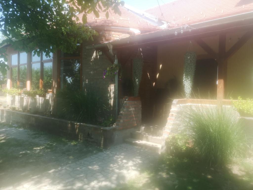 a house with a porch with plants in front of it at CycloCamp & Hostel in Skorenovac
