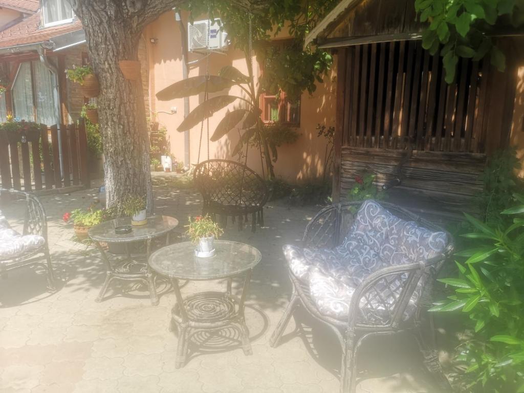 a patio with tables and chairs and a tree at CycloCamp & Hostel in Skorenovac