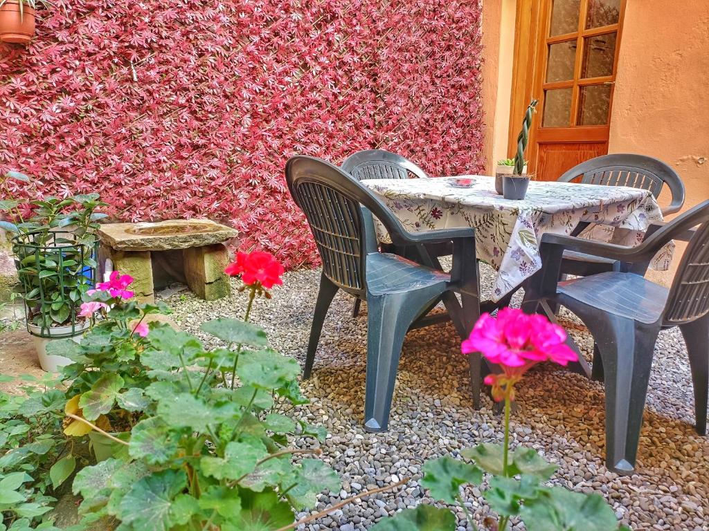 Il giardino segreto - 4