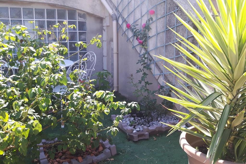 un jardin avec une bande de plantes et une clôture dans l'établissement Studio Blue House, à Vitrolles