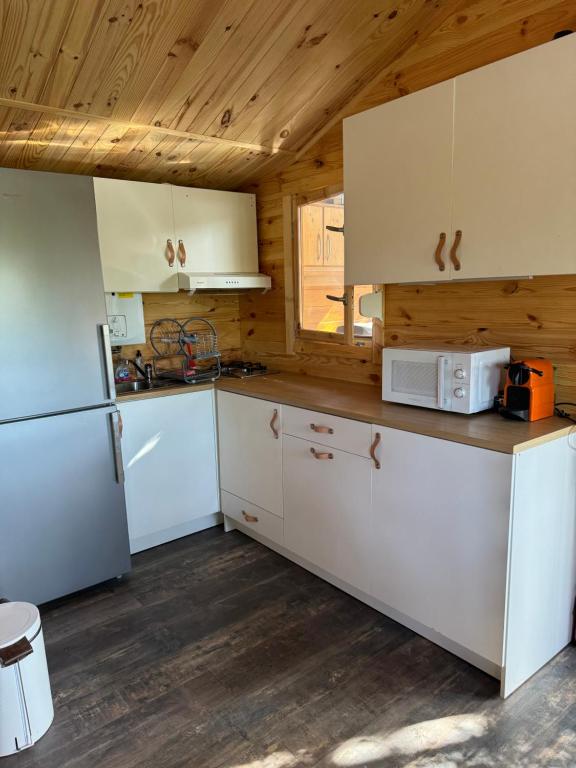 Kuchyň nebo kuchyňský kout v ubytování Cabanon au bord du petit Rhône