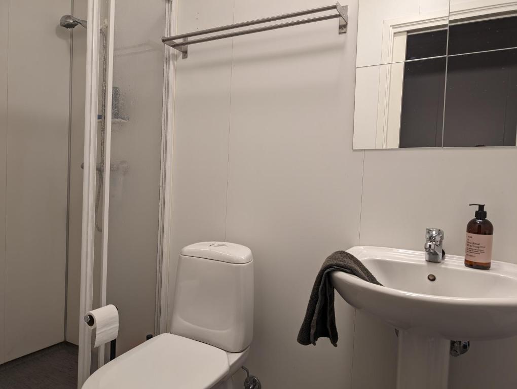 a white bathroom with a toilet and a sink at Green appartement in Sandnes