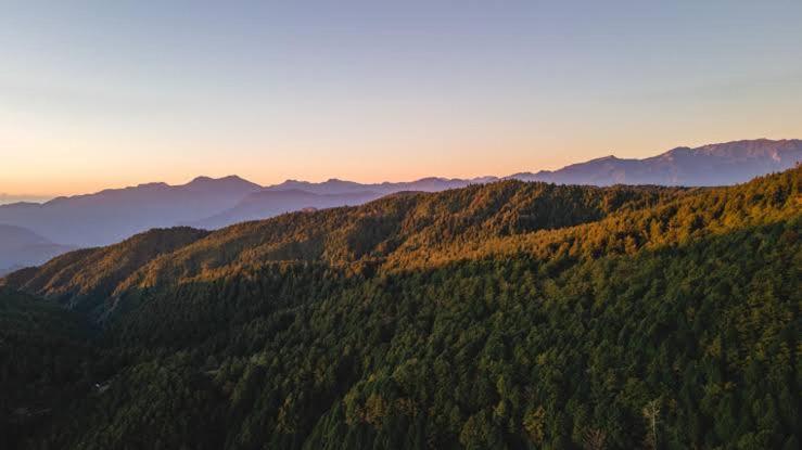 Gallery image of wwwwwwwwww in Kasauli