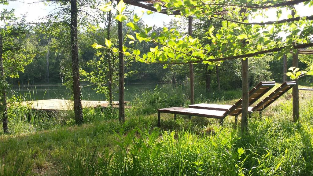 a wooden bench sitting in the grass next to a lake at Agricampeggio Madonna di Pogi in Bucine