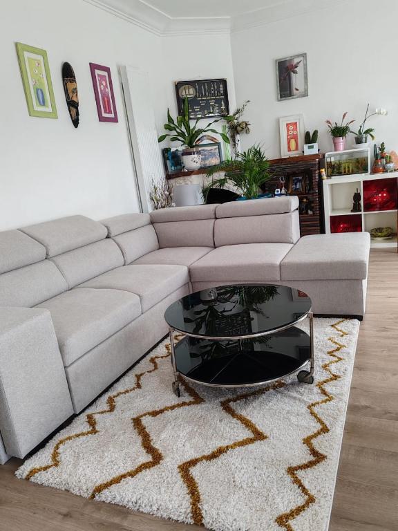 un salon avec un canapé et une table basse dans l'établissement chambre chez habitant 2, à Carbon-Blanc