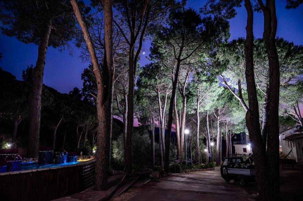 Zahrada ubytování Hotel Bisanzio Resort