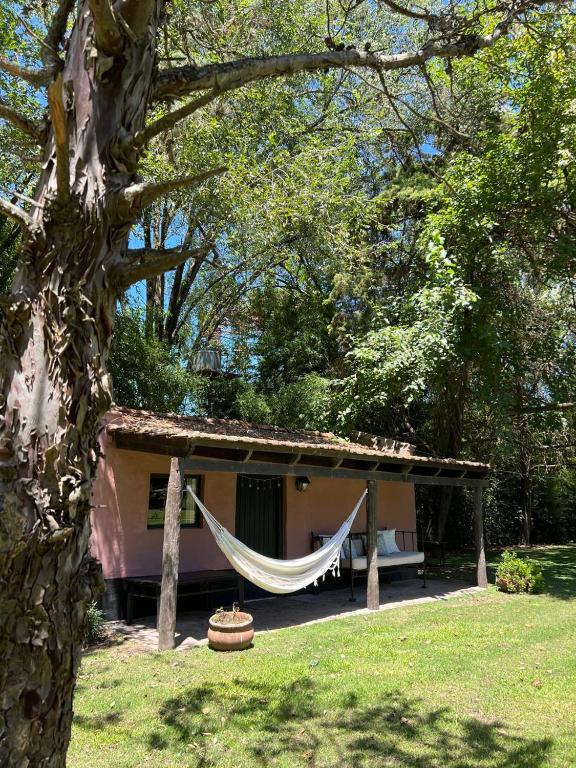 a hammock in front of a house in a yard at Ranchito Macondo in San Antonio de Areco