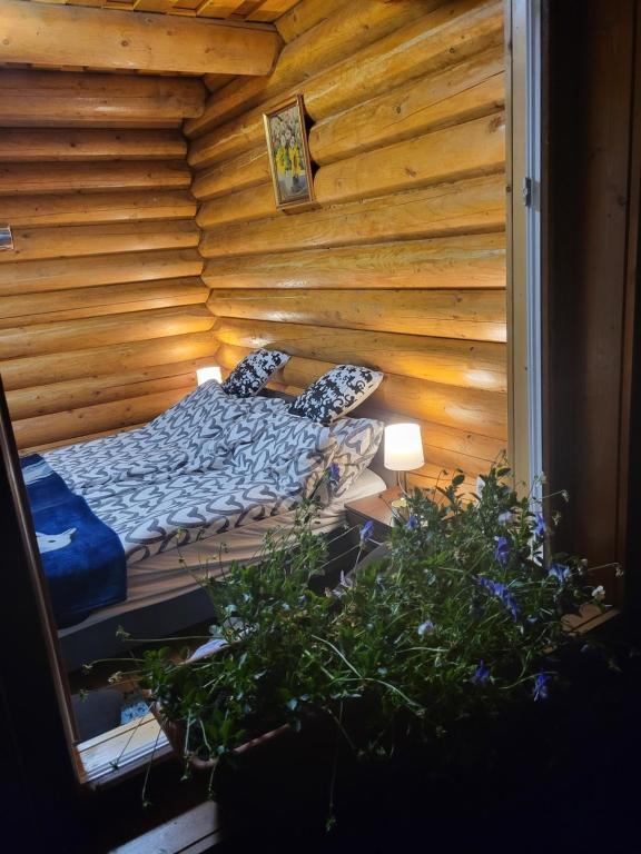 Woodhouse 3300 Eger, Kőkút utca 19 kép - 1