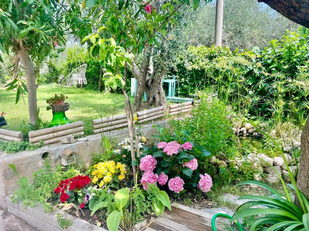B&B Case Vacanza Orchidea marina di Macchia vicino a Mattinata Gargano - Suite Junior Avec Vue Sur Le Jardin