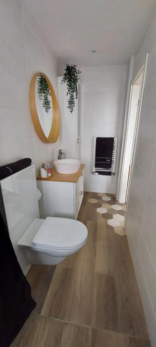 Vannituba majutusasutuses Chambre d'hôtes des Rochettes