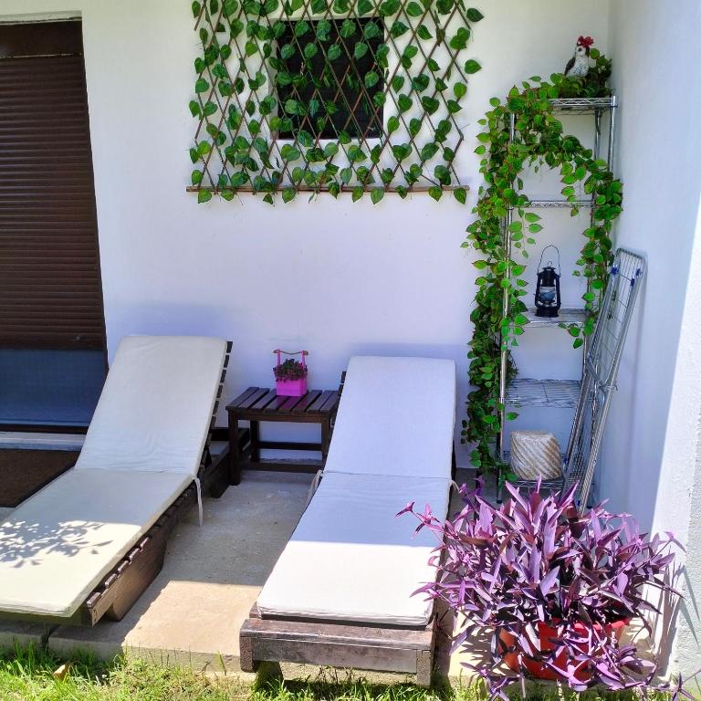 Olive apartment - 18