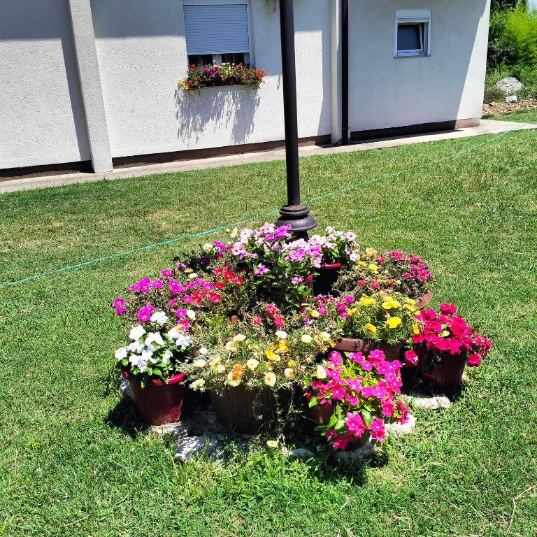 Olive apartment - 19